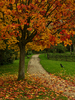 Fall