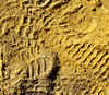 sandtracks2