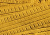 sandtracks5