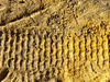 sandtracks3