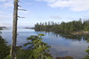Pacific Ocean inlet