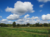 clouds over a field