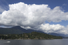 Cumulus cloud