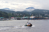 Industrial port