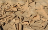 Dry River Bed