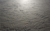 Sand texture