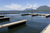 Floating jetty