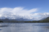 Forested islands