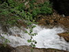 Stream Waterfall