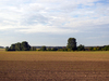 plain summer scenery