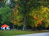 Autumn Camping