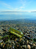 message in a bottle