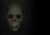 Skull 6