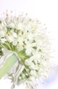 White on white