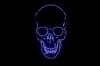 Skull 7
