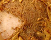 savoury pie5