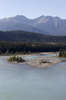Blue River Landscape