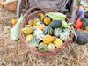 pumpkin still life 2