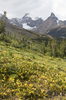 Autumn mountain foliage