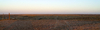 Dingo fence