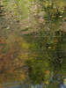 Water reflections