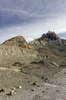 Stark landscape