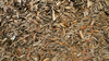 Leaves in the Territory Dry