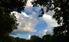 Cloud Window