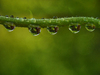 Bridge with pending drops