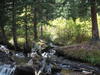 Little river
