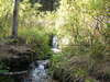 Little river