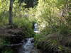 Little river