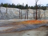 Hot Springs - Yellowstone