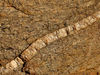 solid seam1