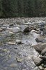 Boulder river