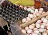 local market22