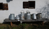 milk pot