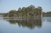 Lake reflection 2
