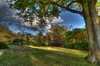 Autumn Scene 1