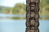 Reservoir chain 2