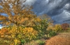 Autumn scene 3