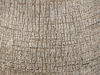 palm trunk texture2