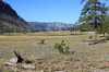 River Valley