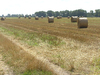 Hay Bales