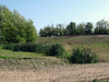 little hills with plants