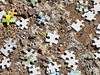 puzzling2