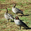 family outing3