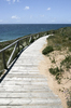 Coastal boardwalk