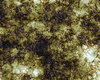 Marbled Texture