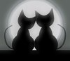 Valentine Cats 3